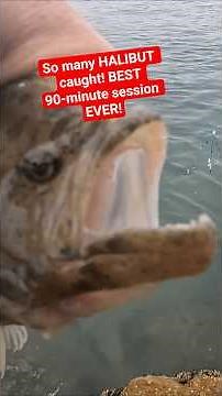 The BEST 90-minute HALIBUT-catching session EVER!