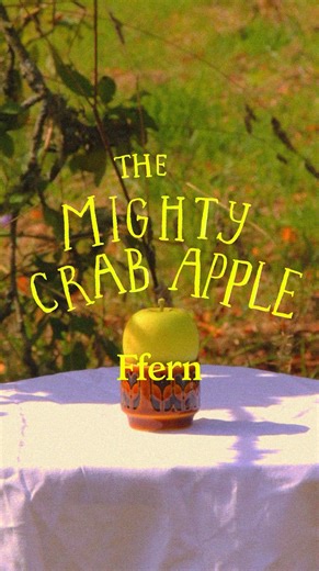Morvern Graham on Instagram: "Behold, the small but mighty crab apple! 🍏 These tart & crunchy fruits are the only native apple tree in Britain and Ireland, and have gifted us with a rich history of mead-making, spell-casting and folklore. So let’s dive into the core of their story and find out just how special these apples are. Crab apple is a key note in Ffern’s Autumn 25 perfume - which is a celebration of the smells and sensations of the orchard at harvest time. Paired with the playful scent