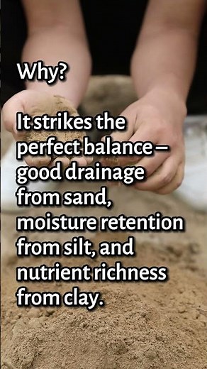 Mastering Sandy Loam Soil: From Composition to Creation for Garden Success