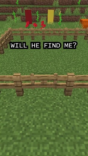 Epic Hide and Seek in Minecraft: Can You Find Me?