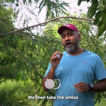 How Authentic Amla Prash Is Made | Traditional Ayurvedic Recipe