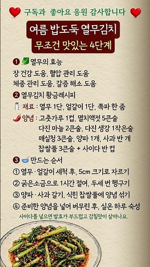 여름 밥도둑 열무김치, 무조건 맛있는 4단계#열무김치 #황금레시피 #여름반찬 #건강음식 #집밥레시피
