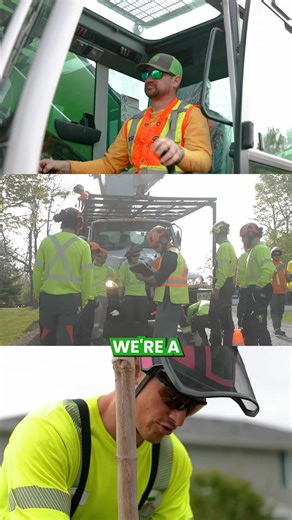 At Eco Tree Care, we don’t just remove trees — we eliminate overgrowth fast. Paul and the crew use our mulcher to take down underbrush and trees in minutes, leaving properties clear, clean, and ready for what’s next. | Eco Tree Care