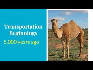 Introduction to Transportation and Logistics