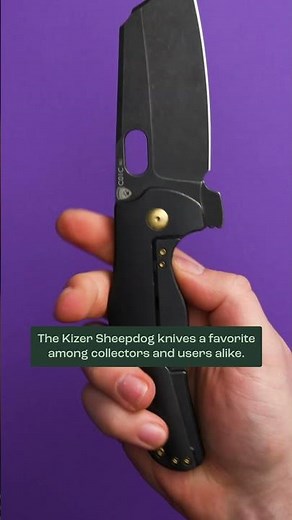 Why the Kizer Sheepdog is SO POPULAR ‼️