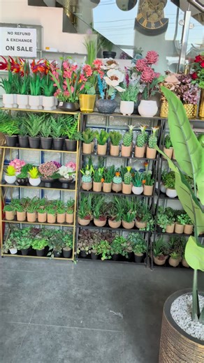 Elegant Home Accents: Luxury Clocks and Lamps