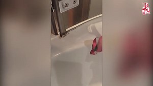 Mould and mildew removal technique tested by Express Online