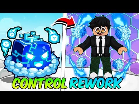 I Mastered The CONTROL REWORK FRUIT in Roblox Blox Fruits Update!