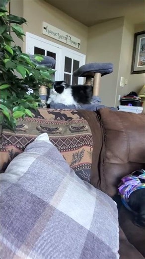 Princess Poppy and Chunky Biscuit!