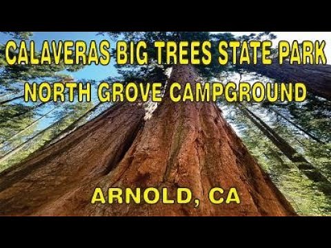 Calaveras Big Trees State Park, North Grove Campground, Arnold CA August 2022 HD 1080p