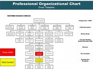 Organizational Chart Editable Excel Template | Visio Template | Bundle of 10 Charts - Etsy