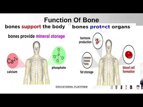 Bones disorders by Dr pulse #pathophysiology
