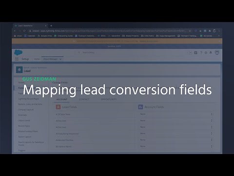 Mapping lead conversion fields