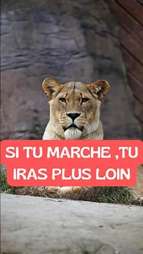 Si Tu Marches , Tu iras Plus Loin #prendresaplace #citation #motivation