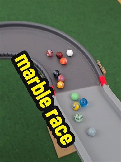 12 Marble Race Challenge: Can You Guess the Winner?