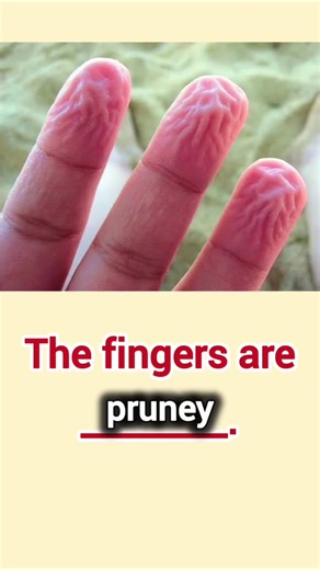 Learning with Brainstorm Tutors is a blast! Fun, interactive, and tailored just for you. Let's learn, grow, and achieve greatness together! What's your learning goal?#parenting #fy #brainteaser #learnontiktok