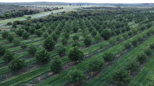 Farm for sale in Hartswater Rural - Hartswater - Property24