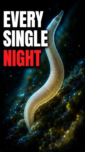 The Parasite That Leaves Your Body Every Night
