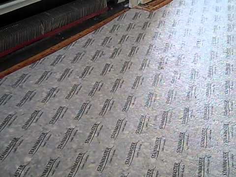 STAINMASTER Carpet Pad
