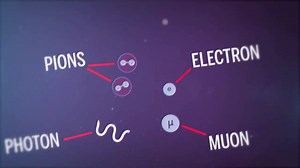 6K views · 156 reactions | When protons collide, fundamentally...