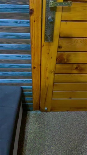 Good Morning Wishes with Dogs