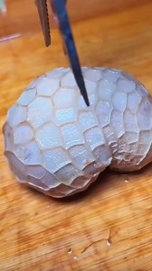 Doctor health care tips 👩🏻‍⚕️ #science #healthcareroutine #healthcare #fyp #reels #tips #lifehacks | Wellbeing Tricks