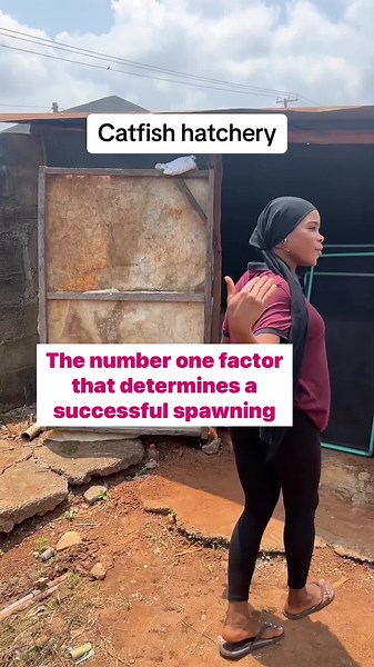 The Key to Successful Catfish Hatching: Water Treatment and Testing