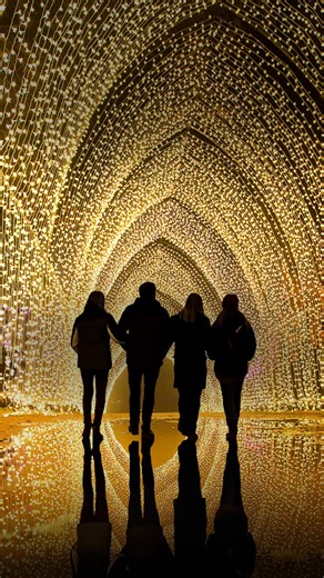 Step into a world of wonder—Lightscape brings its dazzling trail to Chicago! Don’t miss out on the glow! | Chicago Botanic Garden | Facebook