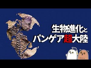 [Slow commentary] Pangaea, oxygen, and biological evolution | Part 2 [Evolution theory / Paleonto...