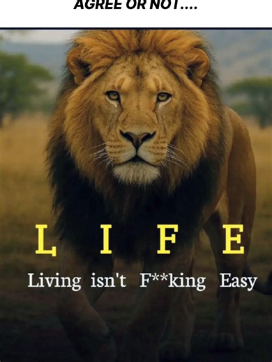 Inspiring Quotes to Boost Your Motivation Everyday