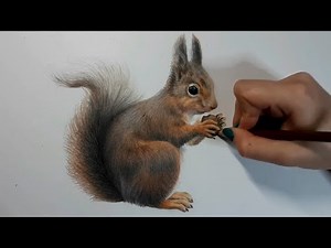 COMMENT DESSINER UN ÉCUREUIL | SQUIRREL