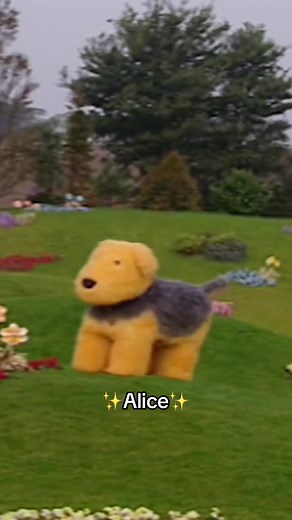 Any guesses on how big our dog really is? 👀 #teletubbies