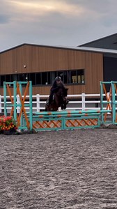 Show Jumping Highlights with Harlow White at Kelsall Hill Equestrian