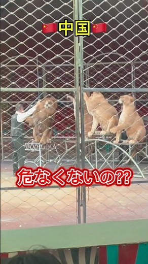 Manzhouli is a border town between Russia, China, and Mongolia. Here you can see the Russian Gran...