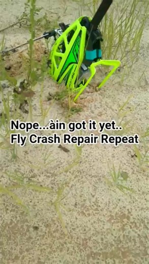 Fly Wing 450 V3 (I think I need a lot more Practice.)