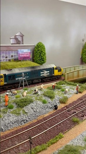 Class 37025 Bachmann Branchline - 422