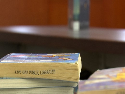 Live Oak Libraries ‘shaping their story’ as GA’s first book sanctuary library