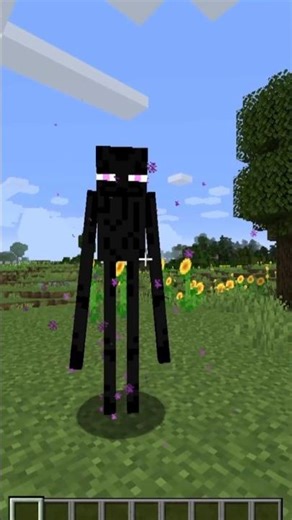 Minecraft Enderman speaks English