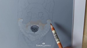 1.4K views · 21 reactions | De keuze van het tekenpapier is afhankelijk van je tekenstijl. Drafting film is synthetische papier dat zeer glad is waardoor zelfs zeer kleine details goed zichtbaar zijn. Het is 2-zijdig te gebruiken, waardoor het ideaal is voor het aanbrengen van diepte. Nicky laat hier zien hoe je Polychromos kleurpotloden gebruikt op drafting film. #FaberCastell #draftingfilm #tekenen #tekenpapier Muziek: Blue Dream -Cheel | Faber-Castell | Facebook