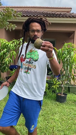 This is definitely one of my favorite fruits! This is my first attempt at growing Cherimoya Trees from seeds. I’ll definitely document the process🌳🤙🏾🌳 You can call me Jabez Mango Seeds. I have a goal to bring over a million Fruit Trees to America starting from right here in South Florida! Prayers🆙Blessings🆙 #jabezmangoseeds #cherimoya #fruit #fyp