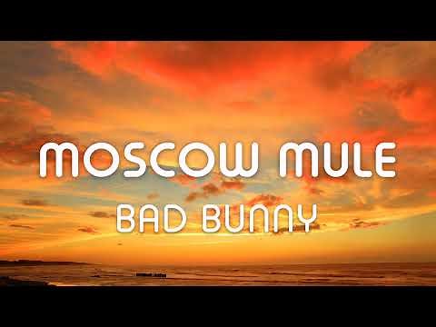 Bad Bunny - Moscow Mule | 1 Hour Version | 1 Hora