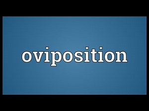 Oviposition Meaning