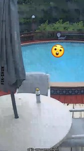 8.2K views · 102 reactions | Intense Thunders Compilation | FikShun Stegall | Facebook