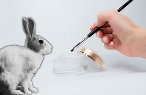 L’expérimentation animale à travers l’Histoire – Animal Testing