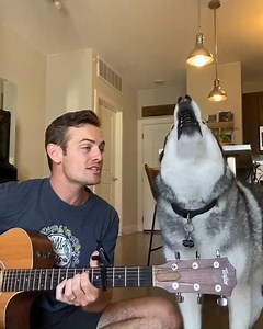 11K views · 169 reactions |  We can't get enough of Tate and his singing Husky Kovu!  @kovu.sings is our new guilty pleasure. Tate Hegstrom is an HCA Healthcare worker at HealthONE in Denver. He and Kovu have gone viral in the past few days. See more videos here; https://on.kgun9.com/3e0DPUH | KGUN 9 | Facebook