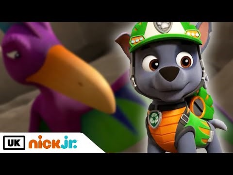 PAW Patrol | Pups Save a Pterodactyl | Nick Jr. UK