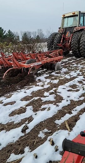 Randy meisegeier on TikTok