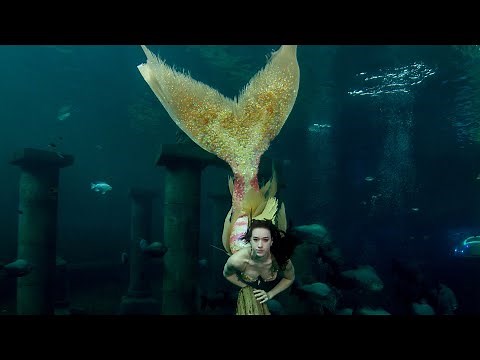 A SHORT DOCUMENTARY OF A MERMAID! - MERMAID CELINE 🧜‍♀️