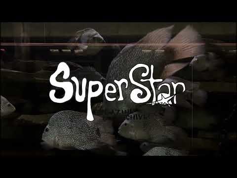 an excellent conversation with john warmb from hit band, rent strike