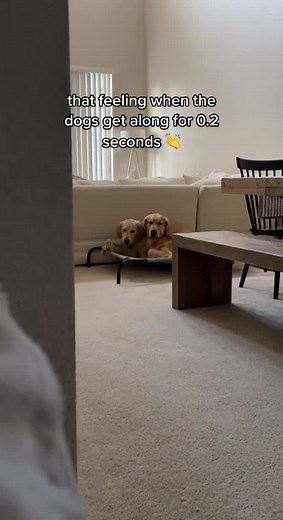 wait till the end to see tuck get bonked